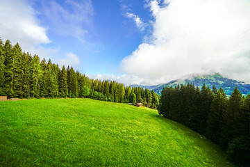 View from Schatzberg of the surrounding landscape. Idyllic nature in Wildschönau in the Kufstein district in Austria. Mountain landscape in the Kitzbühel Alps in Tyrol.
