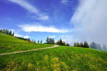 View from Schatzberg of the surrounding landscape. Idyllic nature in Wildschönau in the Kufstein district in Austria. Mountain landscape in the Kitzbühel Alps in Tyrol.
