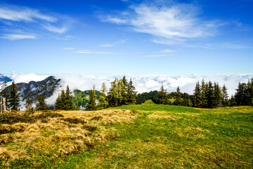 View from Schatzberg of the surrounding landscape. Idyllic nature in Wildsch&ouml;nau in the Kufstein district in Austria. Mountain landscape in the Kitzb&uuml;hel Alps in Tyrol.
