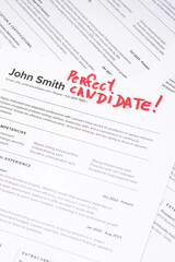 Fake mock CV (curriculum vitae) resume for John Smith, selected by HR as the perfect candidate for...