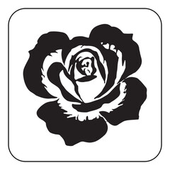 Vintage Flower Design with Classic Botanical Illustrations