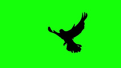 Black silhouette bird flying slow motion on green background. Green screen for compositing and presentation.