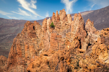 Rough pointy rock formation with lonely green tree, Tenerife