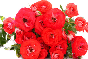 Fototapeta premium Bouquet red roses.