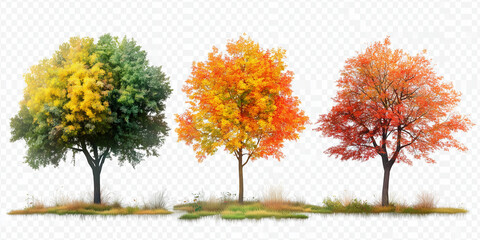 Naklejka premium autumn trees in png