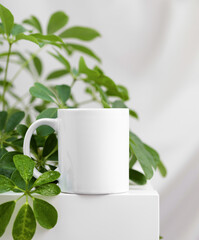 Mockup of a white tea cup or coffee mug on a white table background with a Schefflera plant