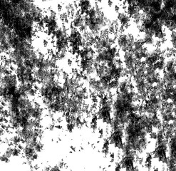 White background image with black spots