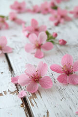 Pink Blossom Flowers,  Delicate pink blossom flowers are spread across a white wooden surface, evoking a fresh and vibrant atmosphere perfect for spring