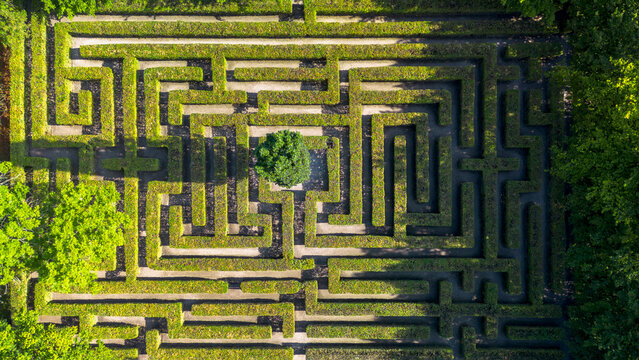 View of the maze in the park