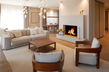 Prestigious living room, inside sofa armchairs and a beautiful burning fireplace that warms the room.