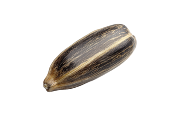 A close-up view of a single sunflower seed showcasing its unique striped shell and natural texture.