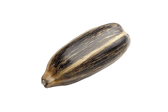 A close-up view of a single sunflower seed showcasing its unique striped shell and natural texture.
