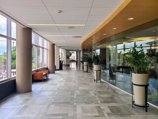 Modern Hospital Hallway with Natural Light and Potted Plants - Eye-Level