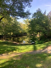 Autumn park