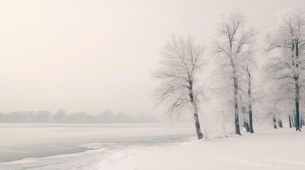 Obraz premium A snow-covered winter landscape with a frozen lake and frosted trees, under a pale, cold sky.