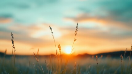 Obraz premium Tranquil Sunset Over Serene Landscape, depicting the beauty of growth and transitions, vibrant colors blending as day shifts to night, embodying life's changes in a minimalist scene.