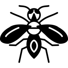 Sweat Bee Icon