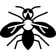 Bee Fly Icon