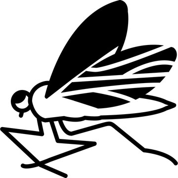 Fungus Gnat Icon