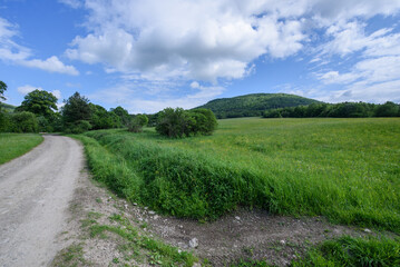 Polana z widokiem na górę przy drodze piaskowej © TM 360
