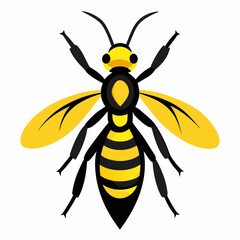 Fototapeta premium vector illustration of bee