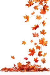 Vertical cascade of autumn leaves on a white background