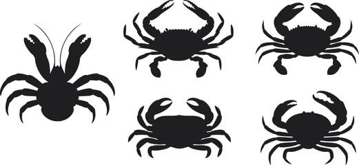 Crab silhouette. Isolated crab on white background © oleg7799