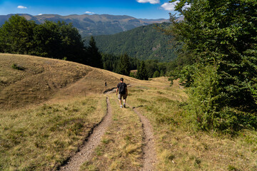 Fototapeta premium hiking in the mountains