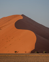 A portrait view of the curve of a vast sand dune in Sossusvlei, Namibia with the rising sun hitting one side of the dune and the other is in shadow 