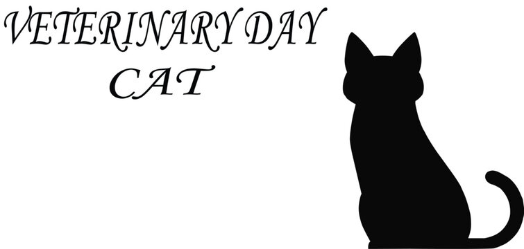 Veterinary Day black cat