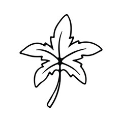 A minimalist black and white illustration of a single leaf with intricate veins, symbolizing nature and growth.