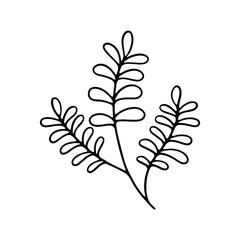 A hand-drawn black and white illustration of a branch with multiple leaves.
