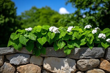 Blossoming vines, cascading over walls, hidden gardens turn stone into a living work of art