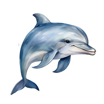 recommend clip art: Dolphin watercolor clip art