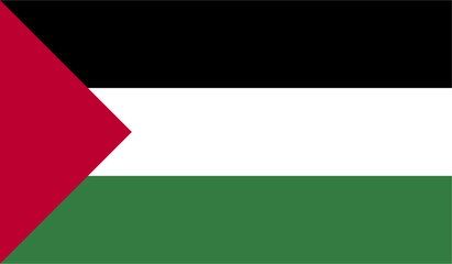 Palestine flag background modern design