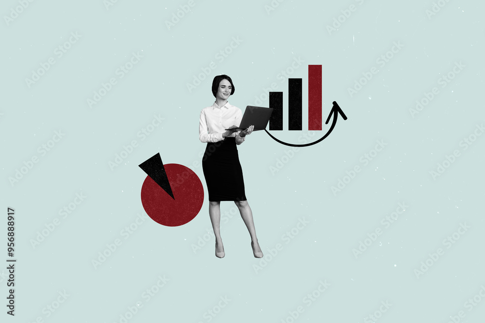 Aufkleber collage image artwork of beautiful business lady working online netbook business concept isolated on