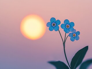 Obraz premium Forget-me-not flowers in the sky, with a full moon hangs high above the horizon