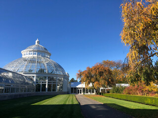 Obraz premium Garden In the Autumn, Fall tree colors