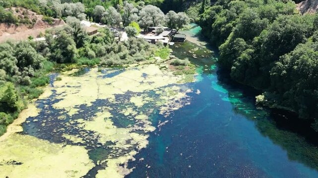 Underwater Kelp Forest dron bird view in Blue eye river, Albania. Green Seaweed leaves in Turquoise and green water scenic aerial view in Muzine, Finiq, Albania, Europe.
