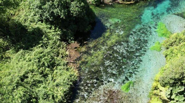 River coast dron bird view in Blue eye river, Albania. Green Seaweed leaves in Turquoise and green water river Bistrice scenic aerial view in Muzine, Finiq, Albania, Europe.