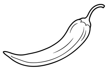 illustration of chili line art vector on white background