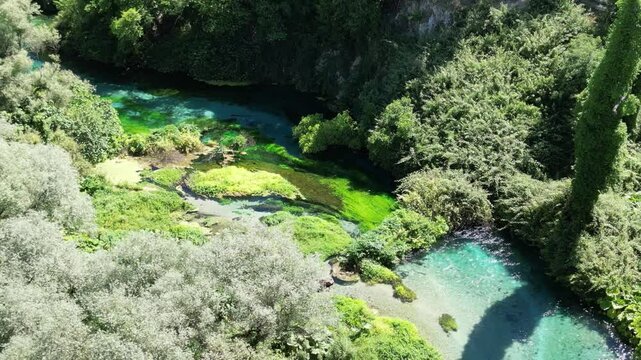 River coast dron bird view in Blue eye river, Albania. Green Seaweed leaves in Turquoise and green water river Bistrice scenic aerial view in Muzine, Finiq, Albania, Europe.