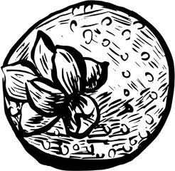 hand drawn sweet dessert food. French Bakery pastry collection with traditional clip art bundle. Vintage vector illustration. Strawberry 