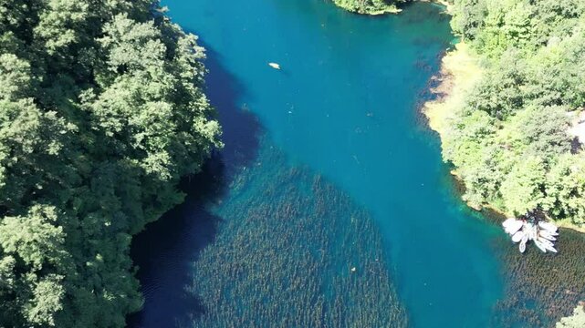 Underwater Kelp Forest dron bird view in Blue eye river, Albania. Green Seaweed leaves in Turquoise and green water scenic aerial view in Muzine, Finiq, Albania, Europe.