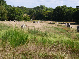 Many scattered  dolmens on a meadow against a wooded background in Carnac, probably around 7000 years old, probably they were set up for religious or calendar reasons.