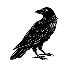 Download Crow ,  Silhouette Vector Illustrate Svg File For Design.