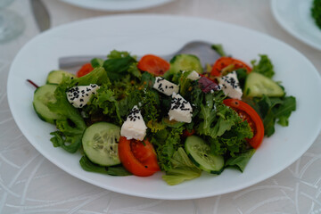 vegetable salad with cheese