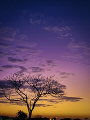 Obraz premium Shades of rainbow