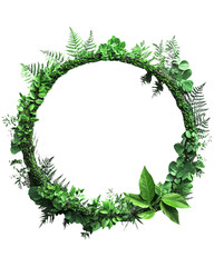 Green wreath made of various leaves, isolated on transparent background.
