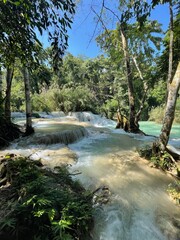 Fototapeta premium river in the forest